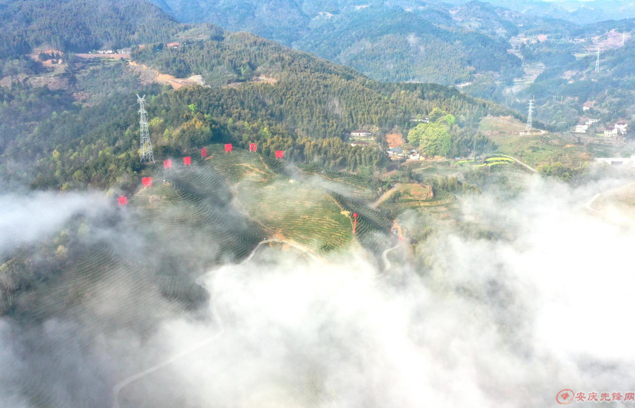 圖片5.png 圖片5.png