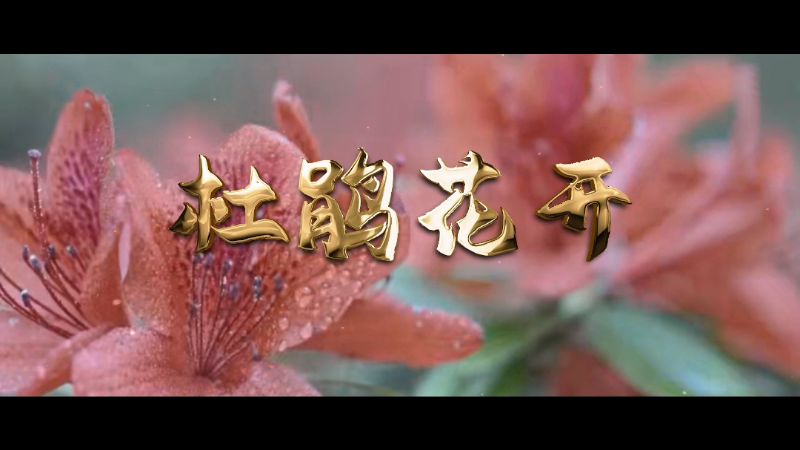 微信圖片_20231123144438.png 微信圖片_20231123144438.png