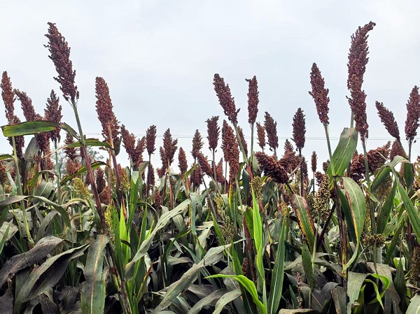 9b6073d6c2134dc7b7838b45a9880c25.jpg 9b6073d6c2134dc7b7838b45a9880c25.jpg