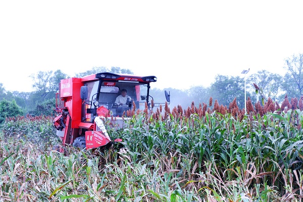 ded5fef3ba5e424f9df3905a44d5aacd.jpg ded5fef3ba5e424f9df3905a44d5aacd.jpg