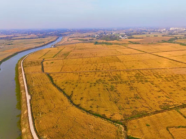 4c21be274daf467eaa9d49c62df20c06.jpg 4c21be274daf467eaa9d49c62df20c06.jpg