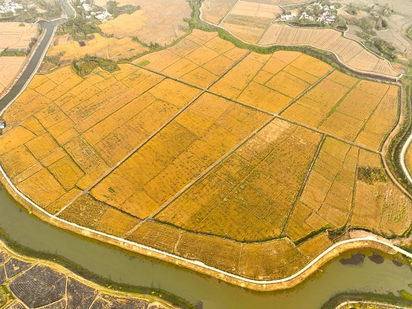 6b5fb30347274a8cad14d6ba7b6f1a95.jpg 6b5fb30347274a8cad14d6ba7b6f1a95.jpg