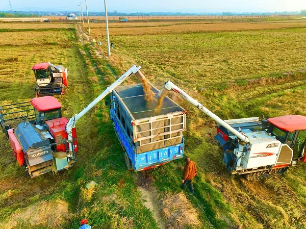 c8d9955e2734469baa03b19b98b3b7bb.jpg c8d9955e2734469baa03b19b98b3b7bb.jpg