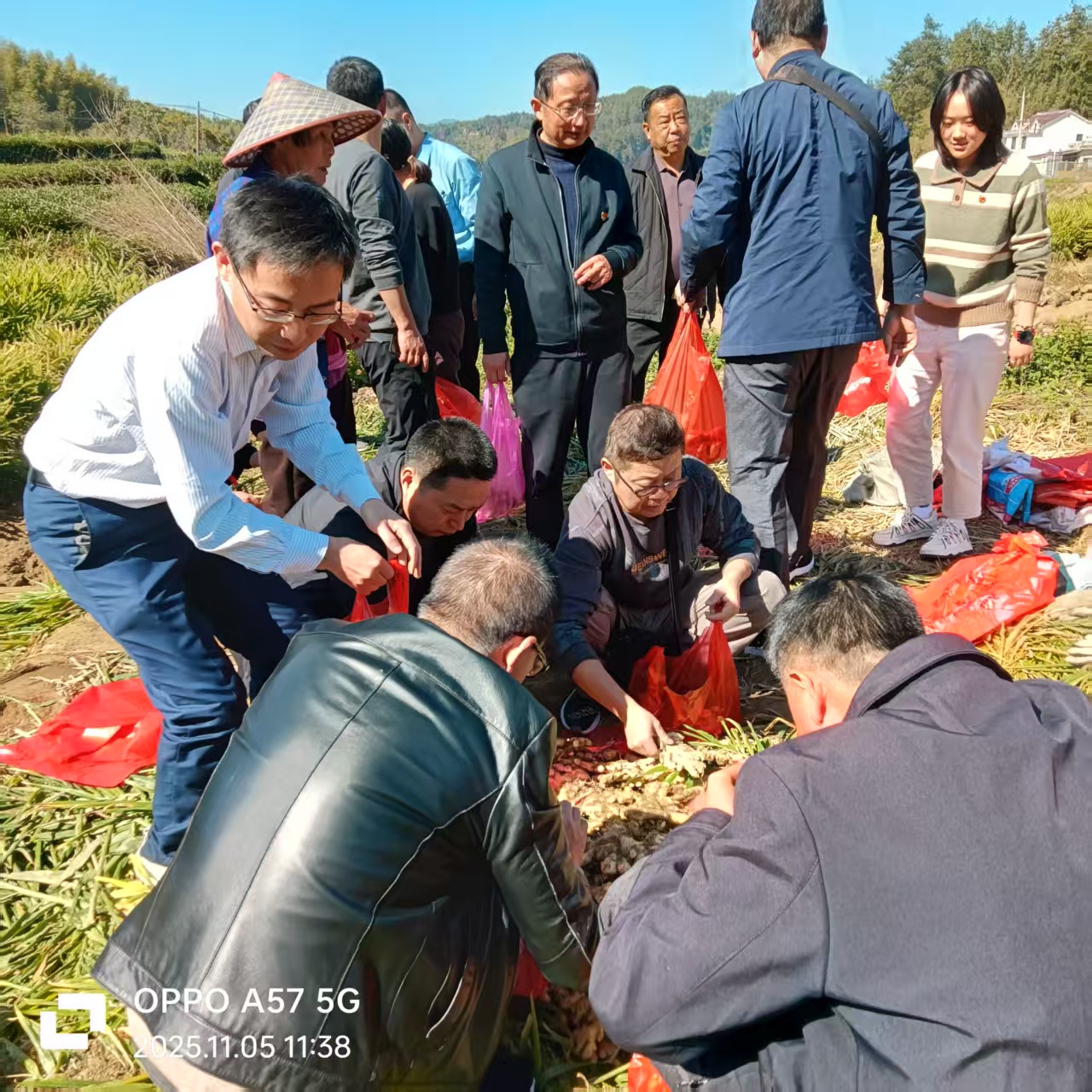 微信圖片_20251105163944.jpg 微信圖片_20251105163944.jpg