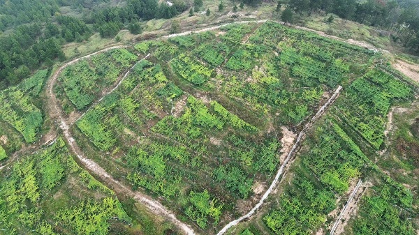 40490e11019341e08af2ce32eed89512.jpg 40490e11019341e08af2ce32eed89512.jpg