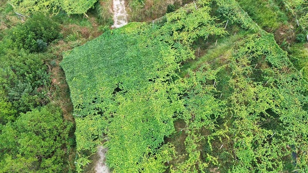 632eebe5746049e5a368183175897455.jpg 632eebe5746049e5a368183175897455.jpg