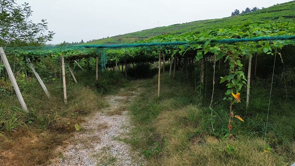 65aa20f21470439a8043f1544580ab7f.jpg 65aa20f21470439a8043f1544580ab7f.jpg