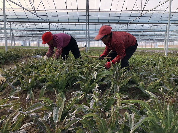 5839a36bde144112a4f69f24e5857eb1.jpg 5839a36bde144112a4f69f24e5857eb1.jpg