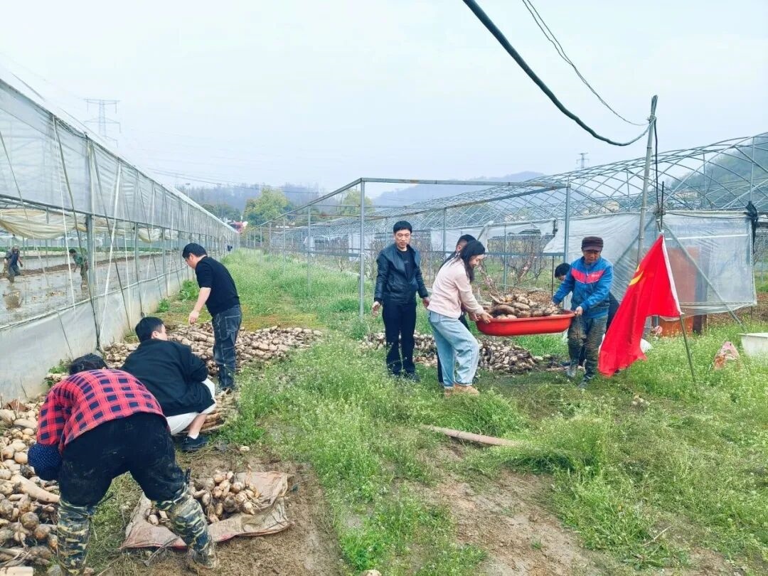 111111111.jpg 111111111.jpg