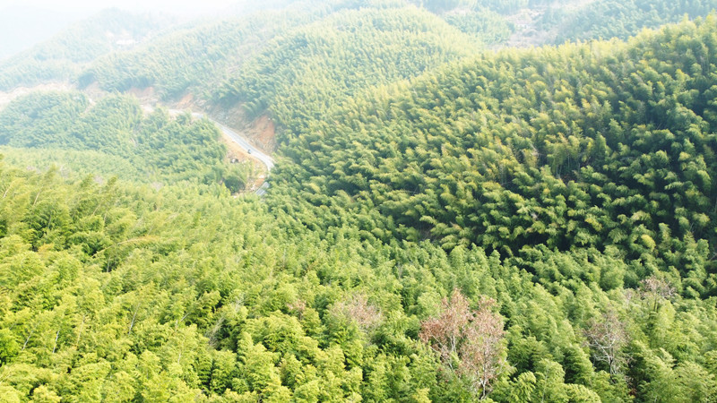 b9d1552a14f9448c885e3bb8fbdce3d0.jpg b9d1552a14f9448c885e3bb8fbdce3d0.jpg